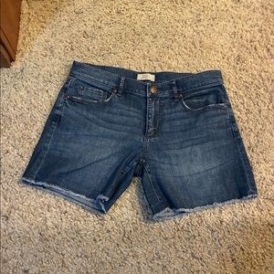 Loft Blue Modest Denim Shorts Women Size 2